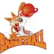 Icon of program: TG Voerde Basketball