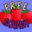 Icon of program: Fruit Squash Free