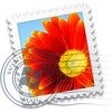 Icon of program: Galería Fotográfica de Wi…