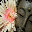 Icon of program: At leve mindfuldt