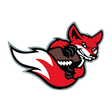 Icon of program: Minnesota Vixen