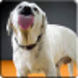 Icono de programa: Dog Licks Screen 4K Wallp…