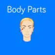Icon of program: Body Parts: Flashcards ap…