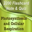 Icon of program: Photosynthesis and Cellul…