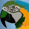 Icon of program: Bird Breakout
