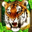 Icon of program: Tiger Simulator