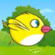 Icon of program: Yellow Birdie
