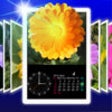 Icon of program: PhotoStand