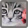Icon of program: Pencil Sketch - Videos