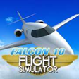 Icono de programa: Falcon10 Flight Simulator