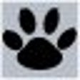 Icon of program: Boldbeast Call Recorder
