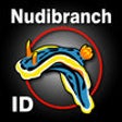 Icon of program: Nudibranch ID Indo Pacifi…