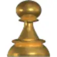 Icon of program: Pawn