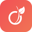 Icono de programa: Viadeo
