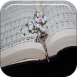 Catholic Hymns For Mass: Free Catholic Songs icon