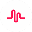 Icon of program: musical.ly lite
