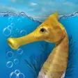 Icon of program: Seahorse 3D