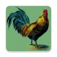 Icon of program: Rooster Alarm and Rington…