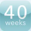 Icon of program: 40 weeks - pregnancy coun…