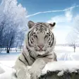 Icon of program: Arctic Tiger Simulator: W…