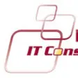 Icon of program: Windberger IT Consulting