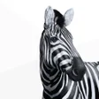 Icon of program: Investec