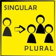Icon of program: Singular and Plural