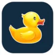 Icon of program: Ducky Doubles