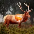 Icon of program: Deer Target Hunting - Pro