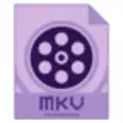 Icon of program: Dimo MKV Video Converter