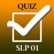 Icon of program: SLP Exam Pro
