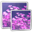 Icon of program: John's Image Converter