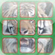 Icon of program: Live Animals - Sliding Sq…