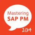 Icon of program: SAP PM 2014