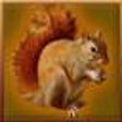 Icon of program: Forest Squirrel Simulator
