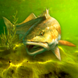 Icono de programa: My Fishing World - Realis…