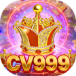 CV999SessionArc icon