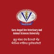 Icono de programa: Pig Farming