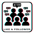 Icono de programa: Followers and Likes For t…