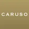 Icon of program: Caruso Affiliated