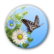 Icono de programa: Butterfly