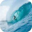 Icon of program: Surfing Wallpapers