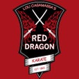 Icon of program: Red Dragon Karate