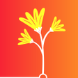 Icon of program: शश वदयलय