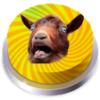 Icono de programa: Goat Screaming Crazy Butt…