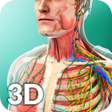 Icon of program: Human Anatomy