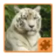 Icon of program: Animals Puzzle - Jungle