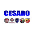 Icon of program: CESARO