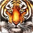 Icon of program: Wild Tiger Simulator: 3D …