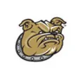 Icon of program: Bryant Bulldogs